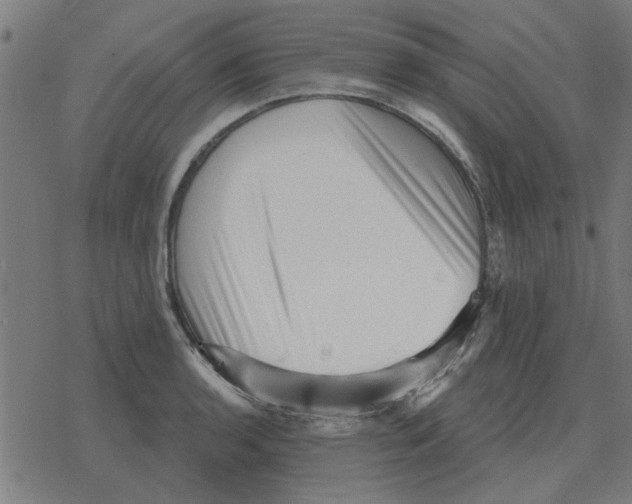 X0000078291136200612011802