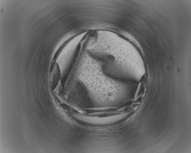 X0000078291138200612011802