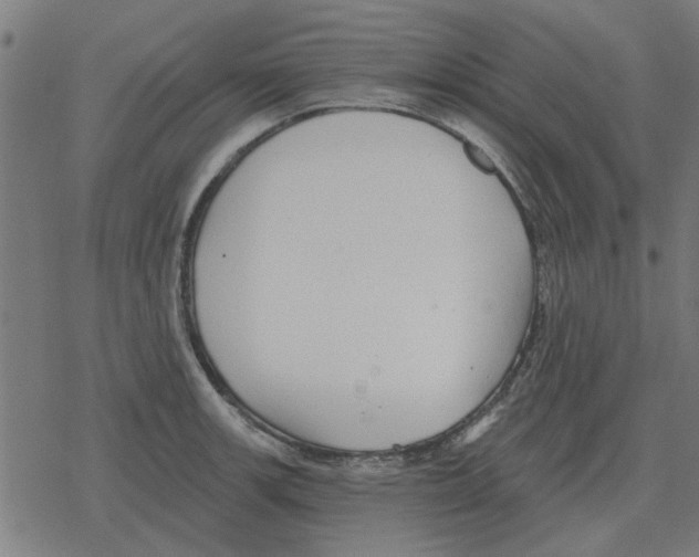 X0000078291139200612011802