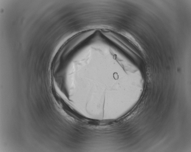 X0000078291140200612011802