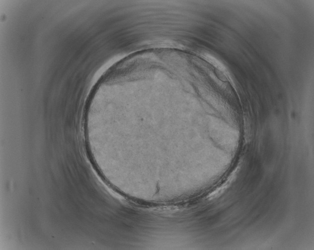 X0000078291141200612011802