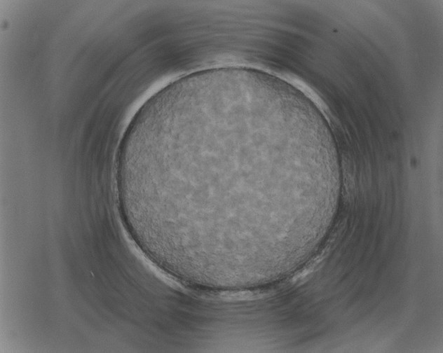 X0000078291142200612011802