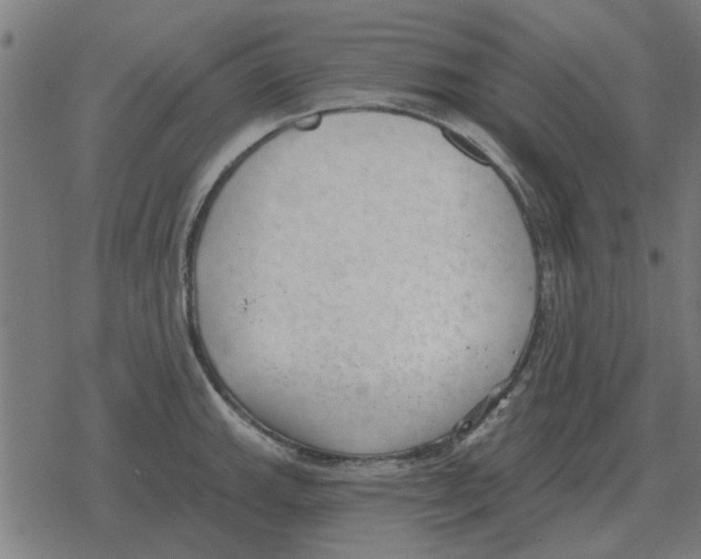 X0000078291143200612011802