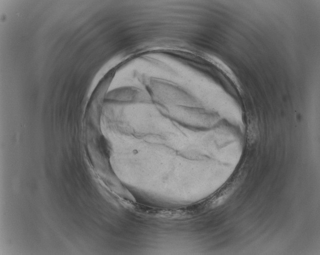 X0000078291146200612011803