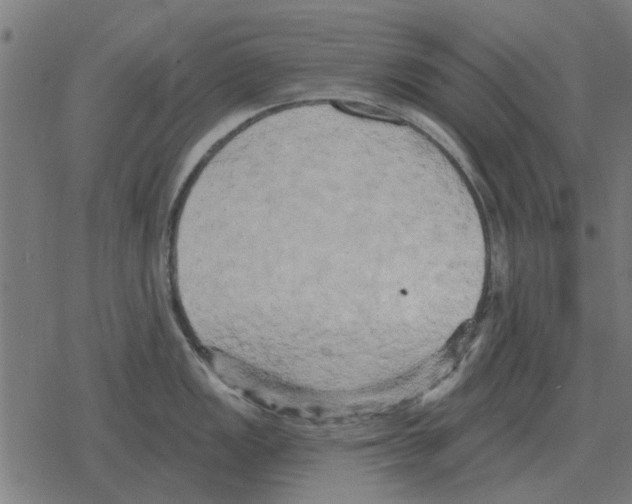 X0000078291149200612011803