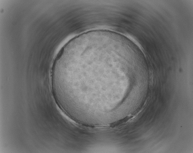 X0000078291151200612011803