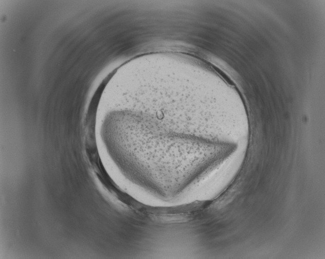 X0000078291152200612011803