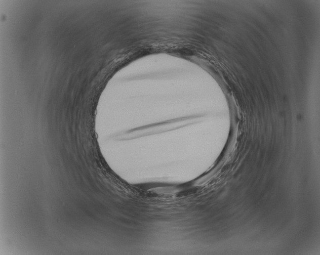 X0000078291153200612011802