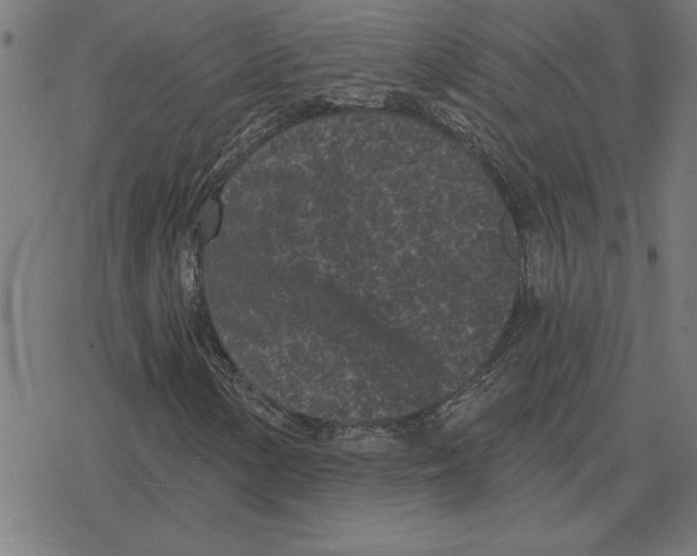 X0000078291154200612011802