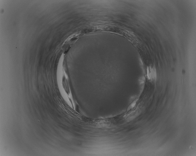 X0000078291155200612011802