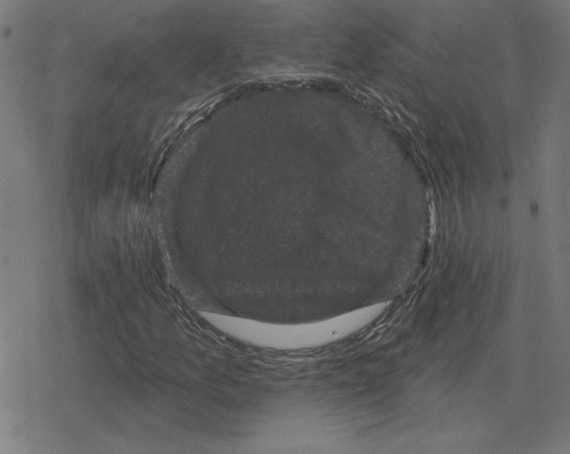 X0000078291157200612011802