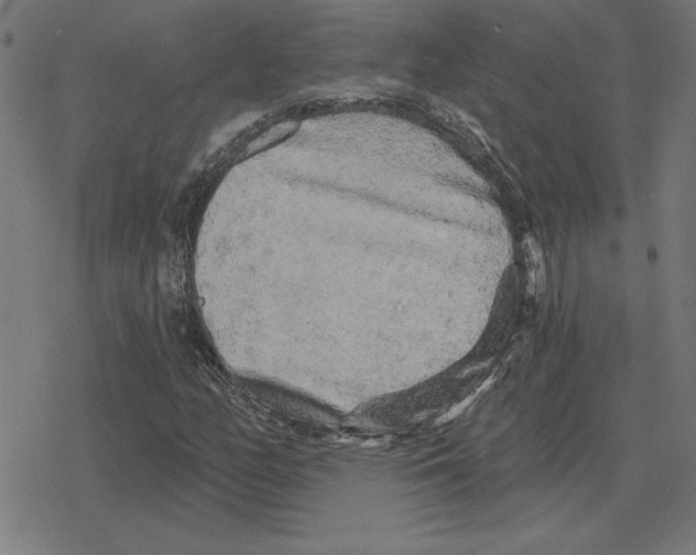 X0000078291158200612011802