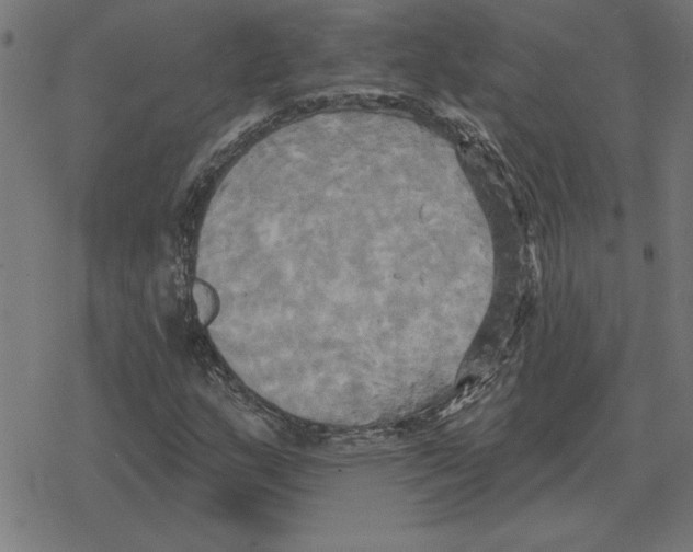 X0000078291159200612011802