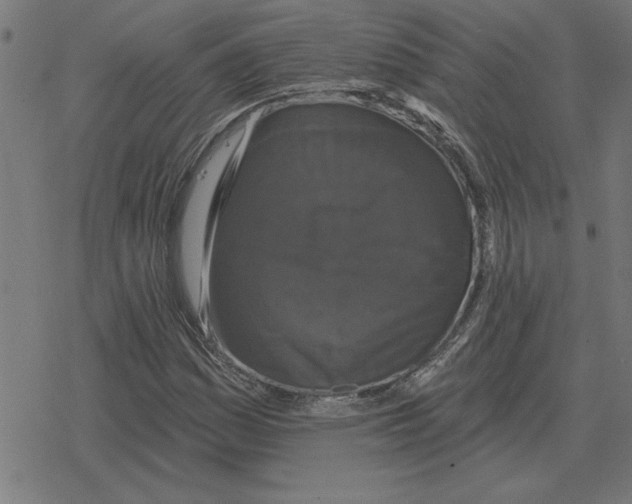 X0000078291161200612011802