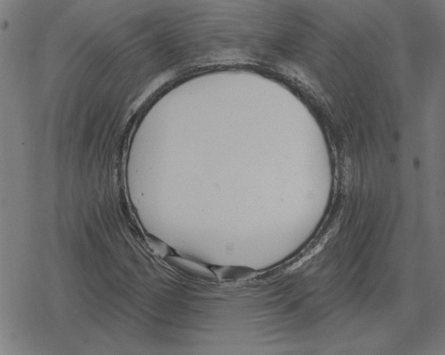 X0000078291162200612011802