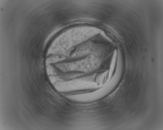 X0000078291164200612011802