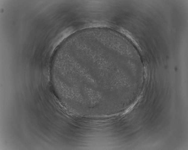 X0000078291165200612011802