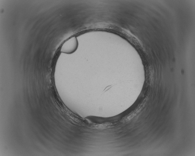 X0000078291166200612011802