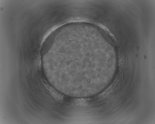 X0000078291167200612011802