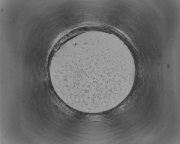 X0000078291168200612011802