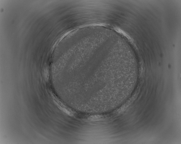 X0000078291169200612011802