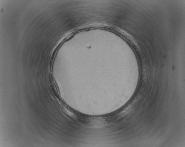 X0000078291170200612011802