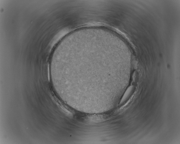 X0000078291171200612011802