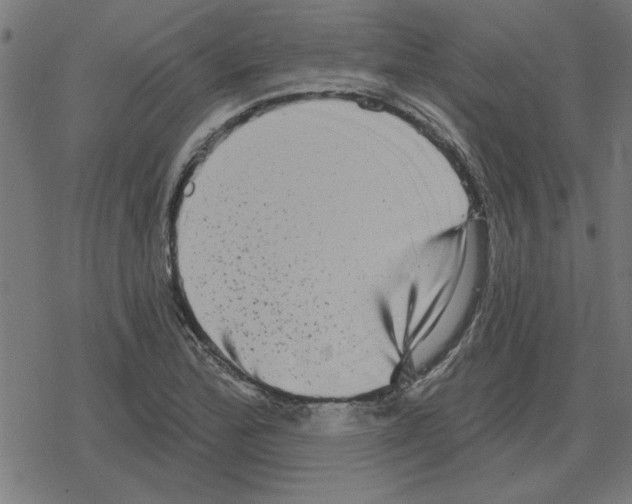 X0000078291172200612011802