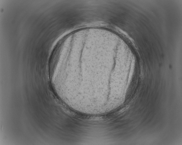 X0000078291174200612011801