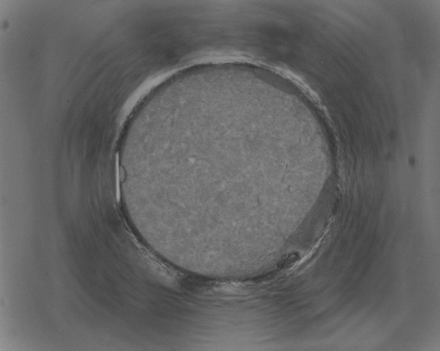 X0000078291175200612011801