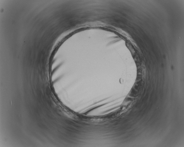 X0000078291176200612011801