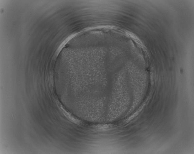 X0000078291177200612011801