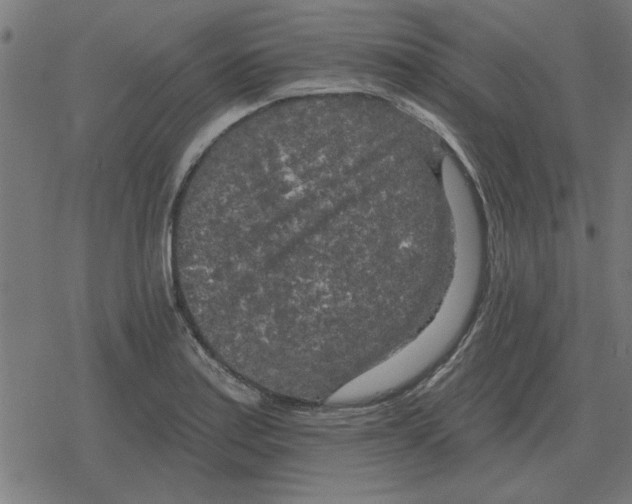 X0000078291179200612011801