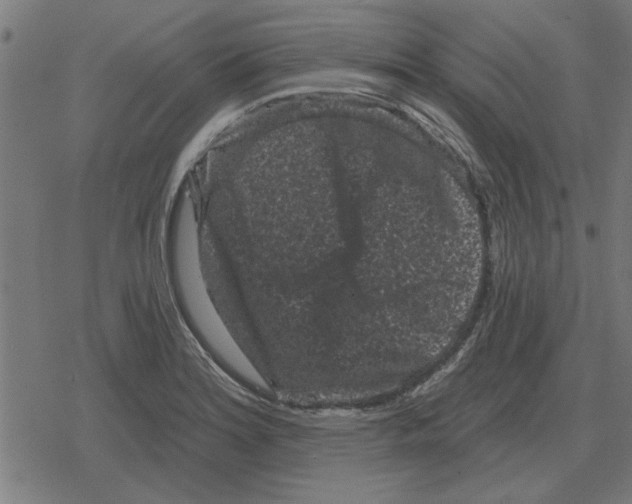 X0000078291180200612011801