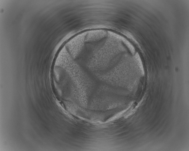 X0000078291181200612011801