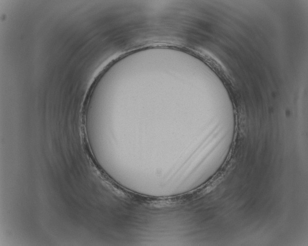 X0000078291182200612011801