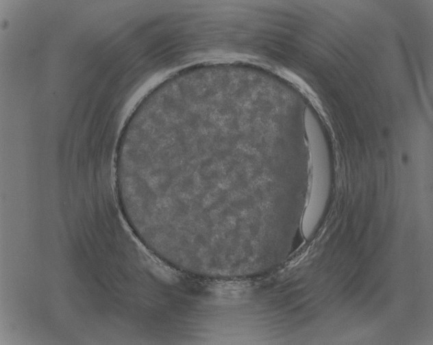 X0000078291183200612011801