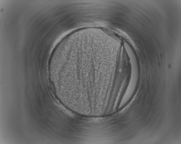 X0000078291184200612011801