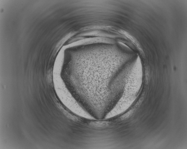 X0000078291185200612011801