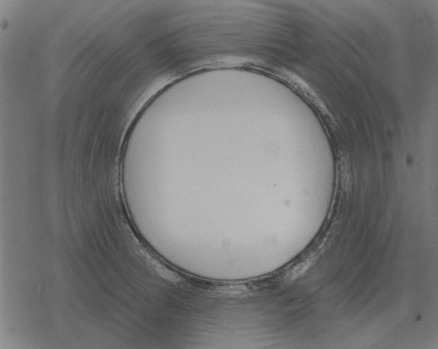 X0000078291186200612011801