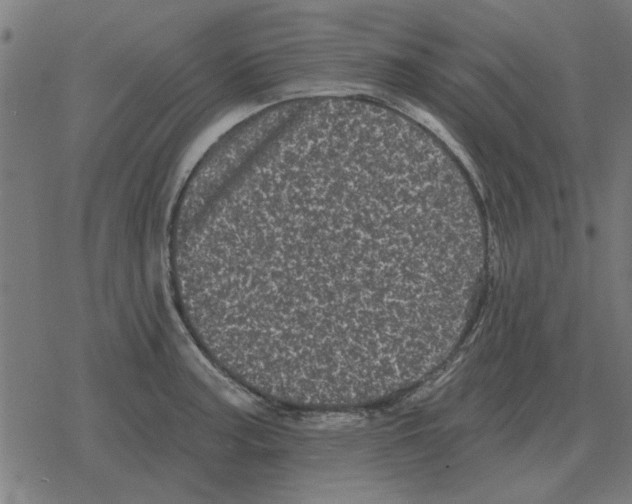 X0000078291187200612011801