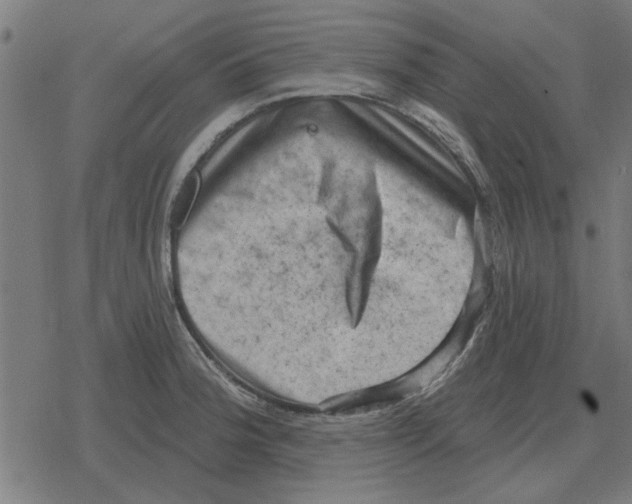 X0000078291188200612011801