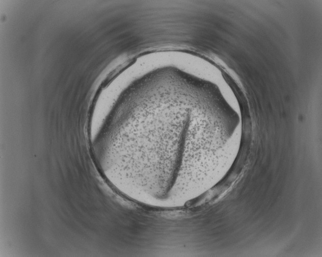 X0000078291189200612011801