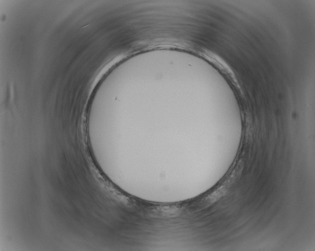 X0000078291190200612011801