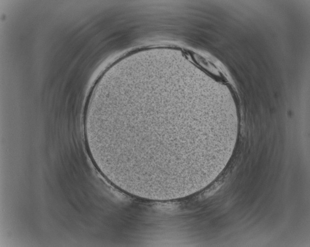 X0000078291191200612011801