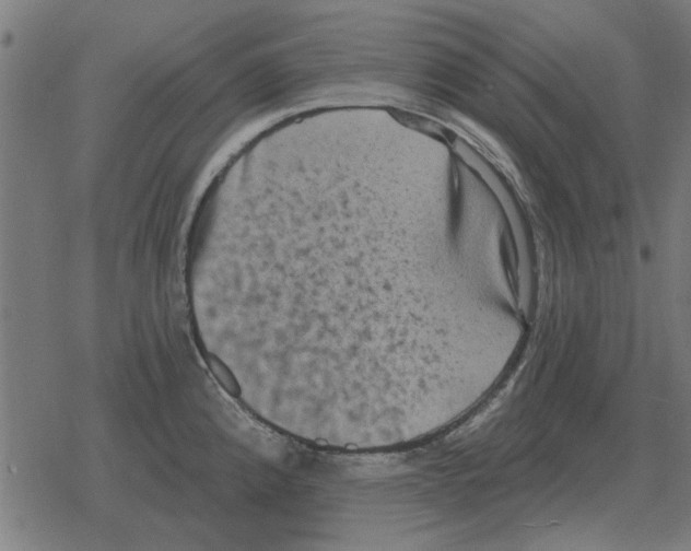 X0000078291192200612011801