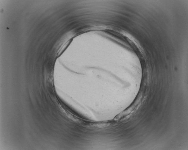 X0000078291193200612011801