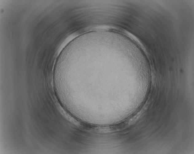 X0000078291194200612011801