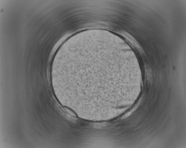 X0000078291196200612011801