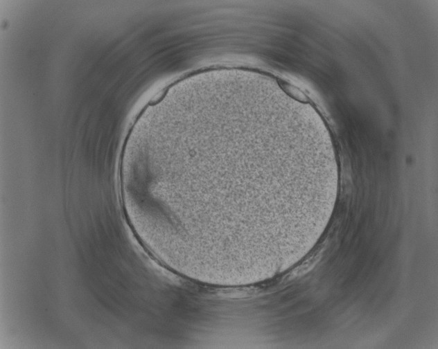 X0000078291199200612011801